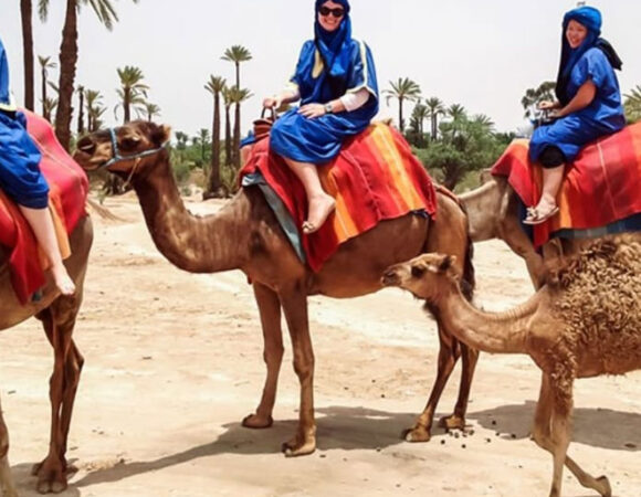 Camel Riding in Palmeraie Marrakech