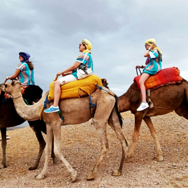 Agafay Desert  Sunset Camel Ride