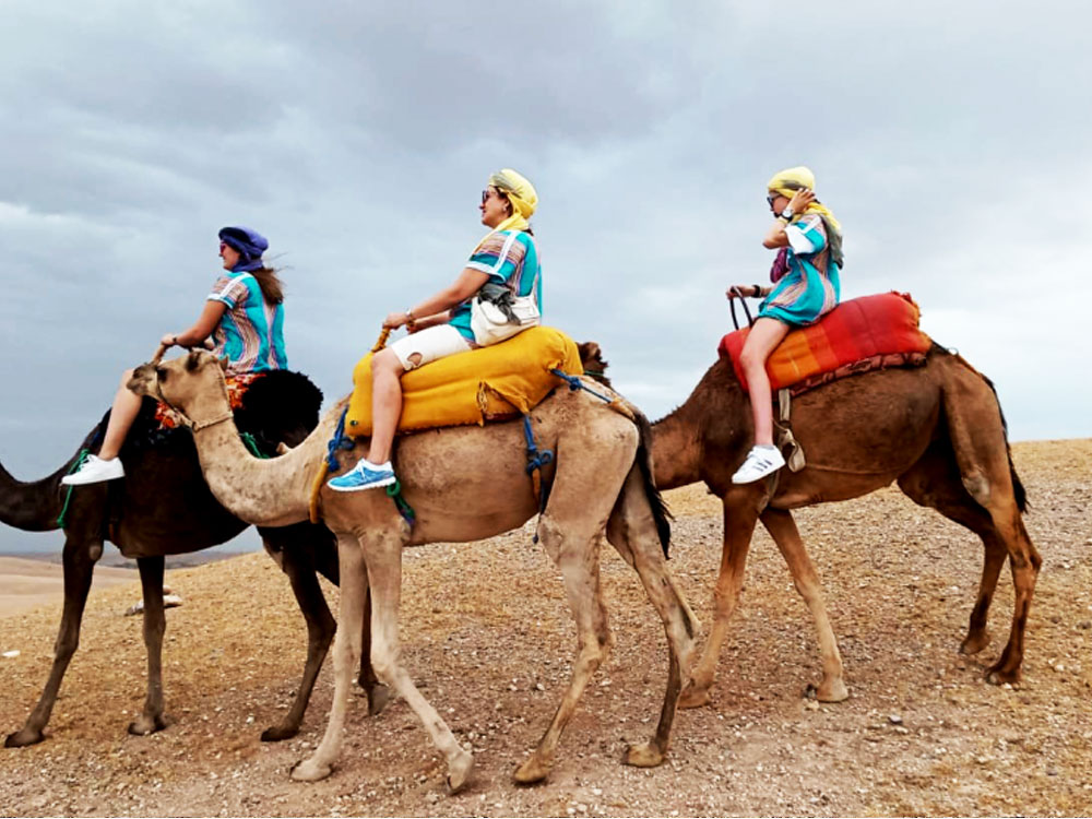 Agafay Desert  Sunset Camel Ride