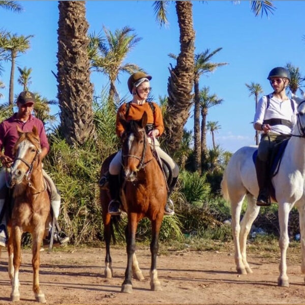 Horse riding in the Palmeraie Marrakech